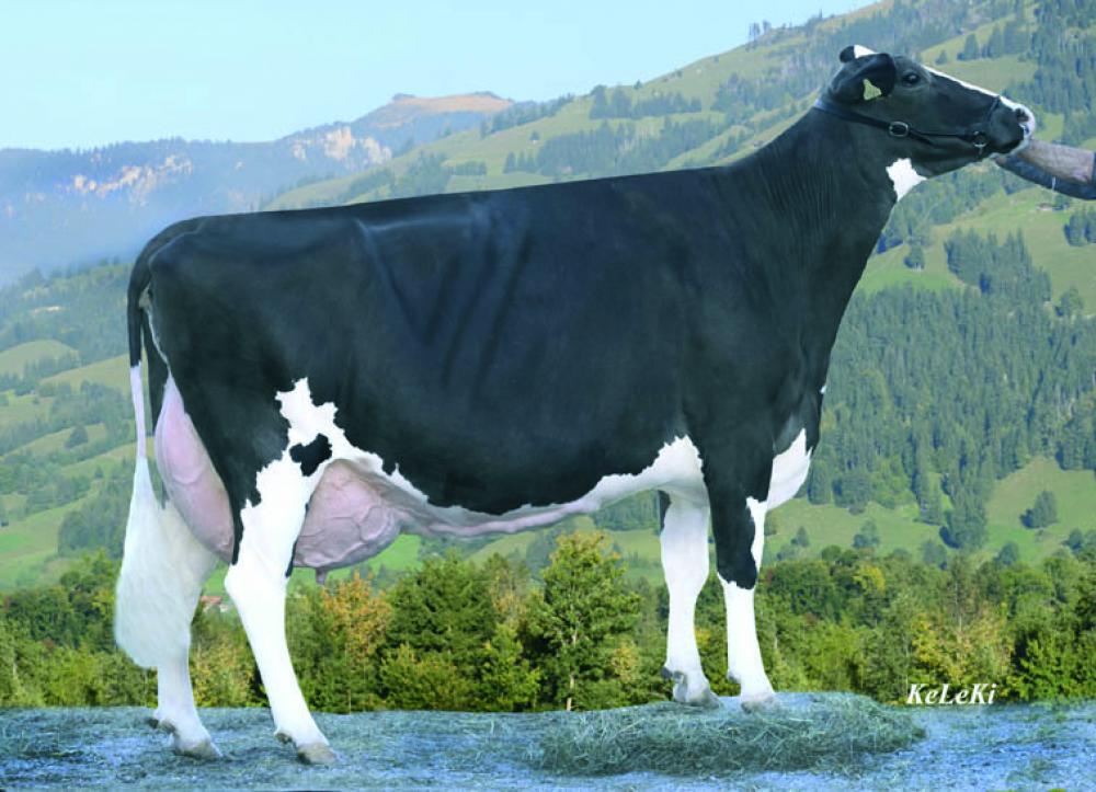 M: Bagatelle Rubens Aphrodite EX-90 LL > 156.000 Mkg, 3,88%F, 3,10%E