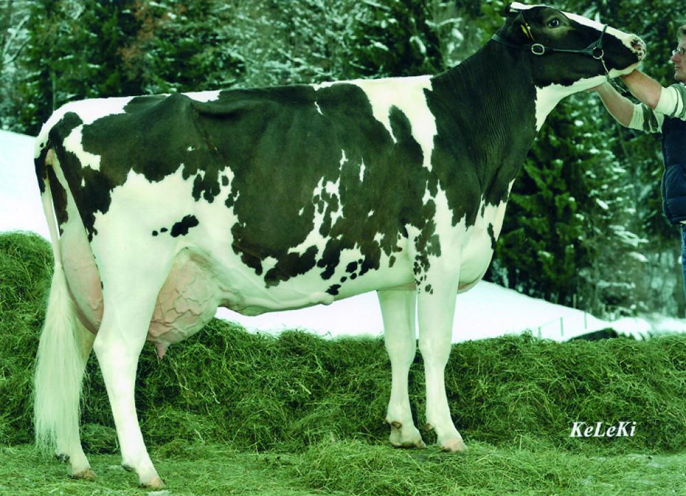 MM: Bagatelle Integrity Snowflake EX-92 LL 112.765 Mkg, 3,93%F, 3,16%E