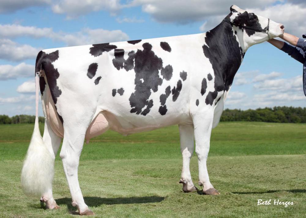 GGM: Sully Shottle May EX-91