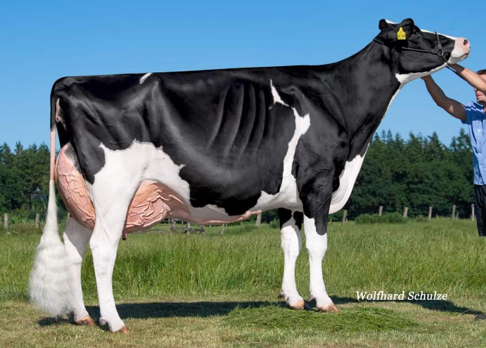 Mutter: Loh-An TJ Alessjja EX-95