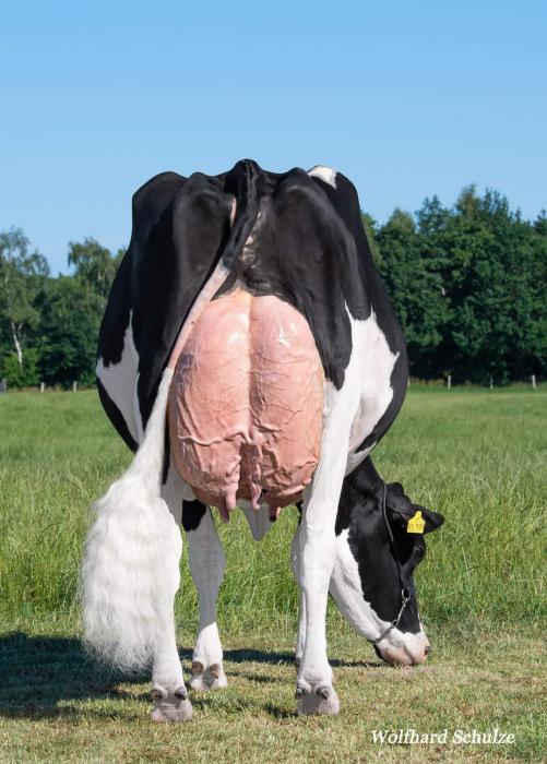 Mutter: Loh-An TJ Alessjja EX-95