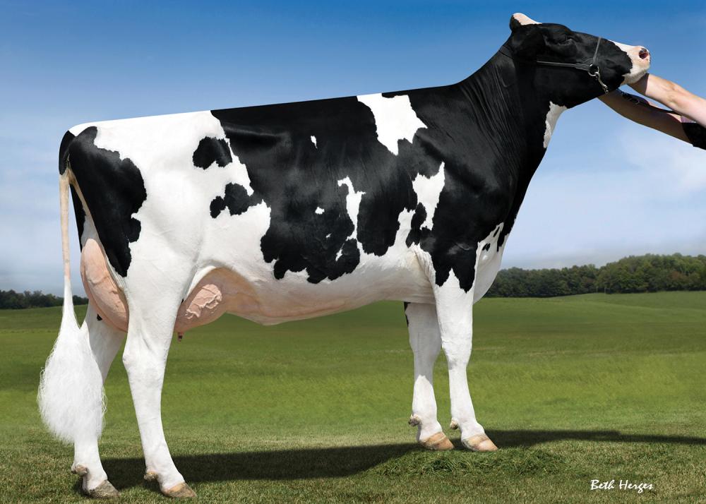 4M: Cookiecutter Supersire Have VG-86