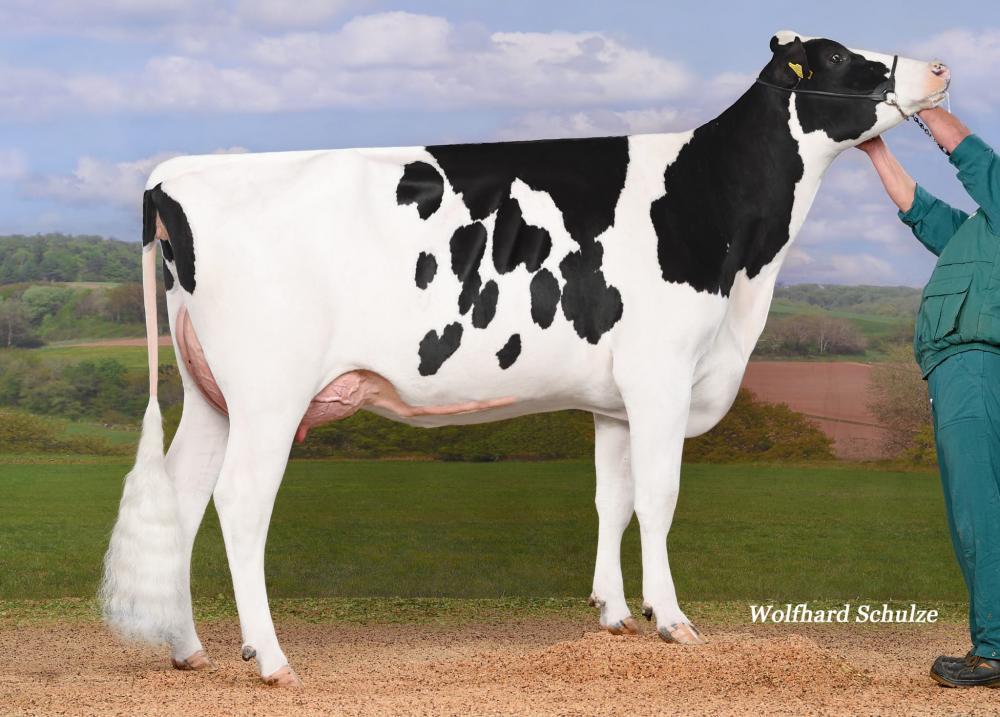 Mutter: CEH Marlis VG-87