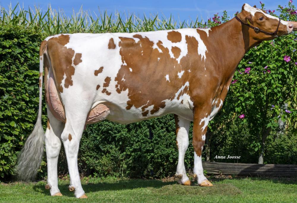 GM: Miss Spark VG-87