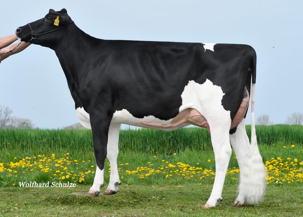 GM: Larissa PP VG-87