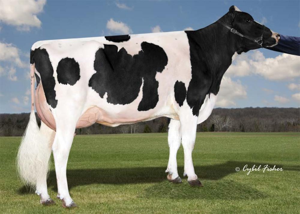 V-3M: Cookiecutter Rubi Homey EX-91