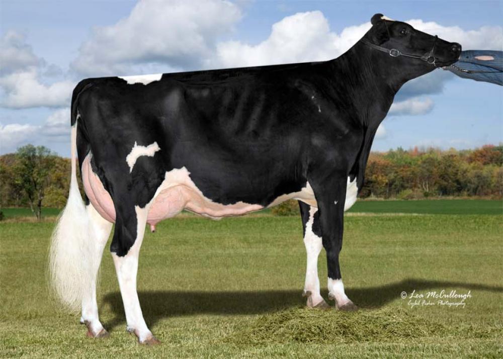 V-6M Cookiecutter MOM Halo VG-88