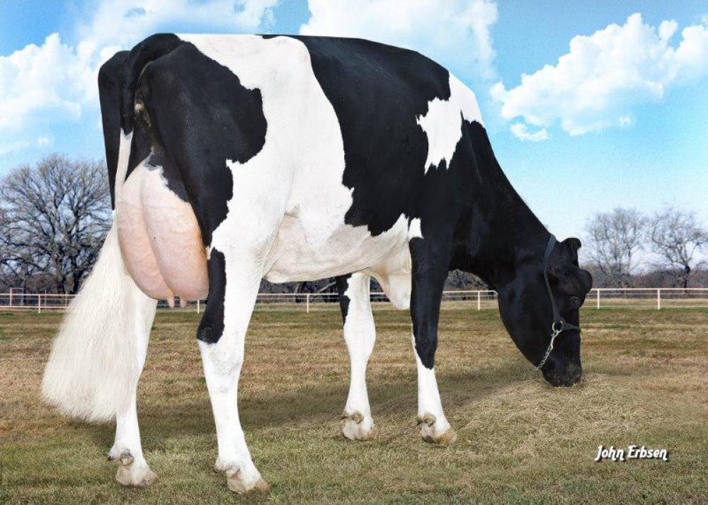 6 M: Morningview Super Roxy EX-90