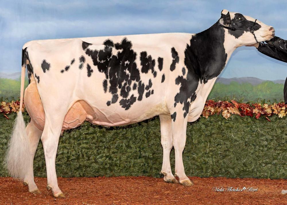 Mutter: Welcome Hancock Camilan EX-94