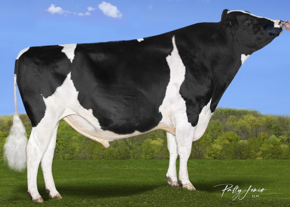 AOT Hudson EX-92 / EX-94 F&L