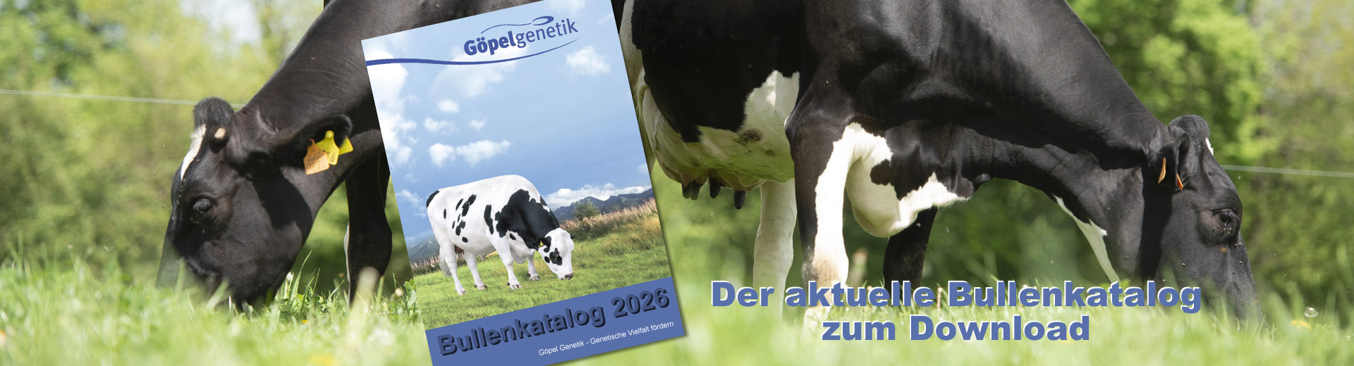 Bullenkatalog