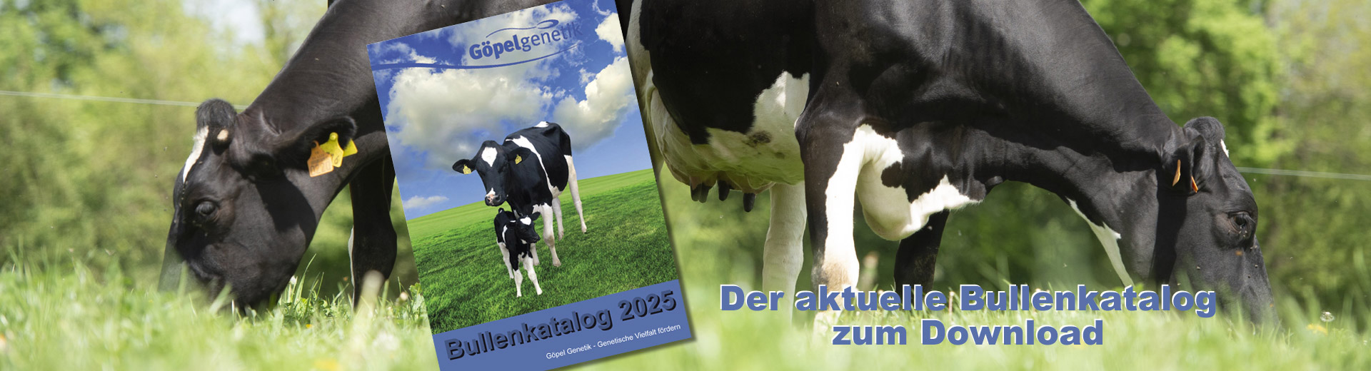 Bullenkatalog